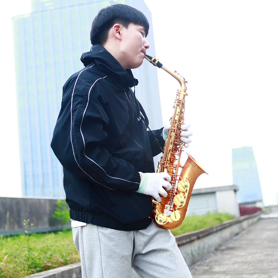 Saxophone Brass Frosted Gold E Flat Sax Woodwind Instrument Boutique