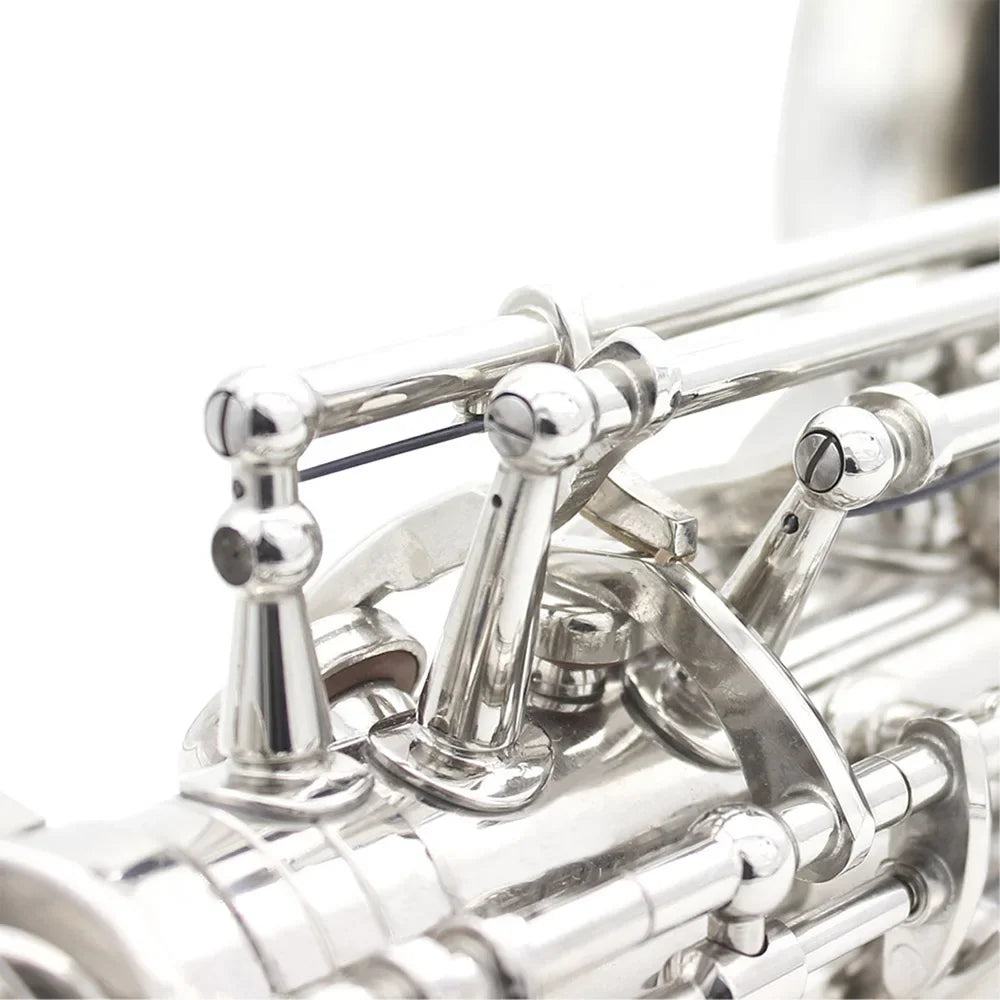 Saxophone Eb White Shells Keys Sax Silvery Brass Body Set Case Professional, Saxophone Accessories