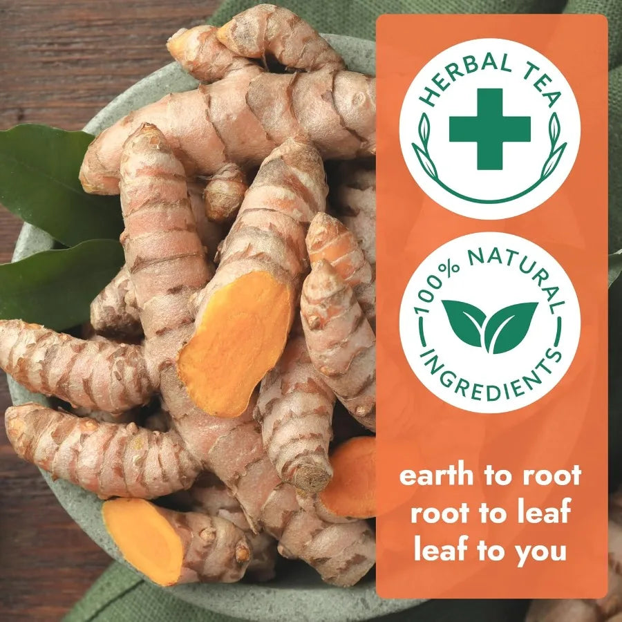 120 Tea Bags Ginger Turmeric Cinnamon Tea Bags