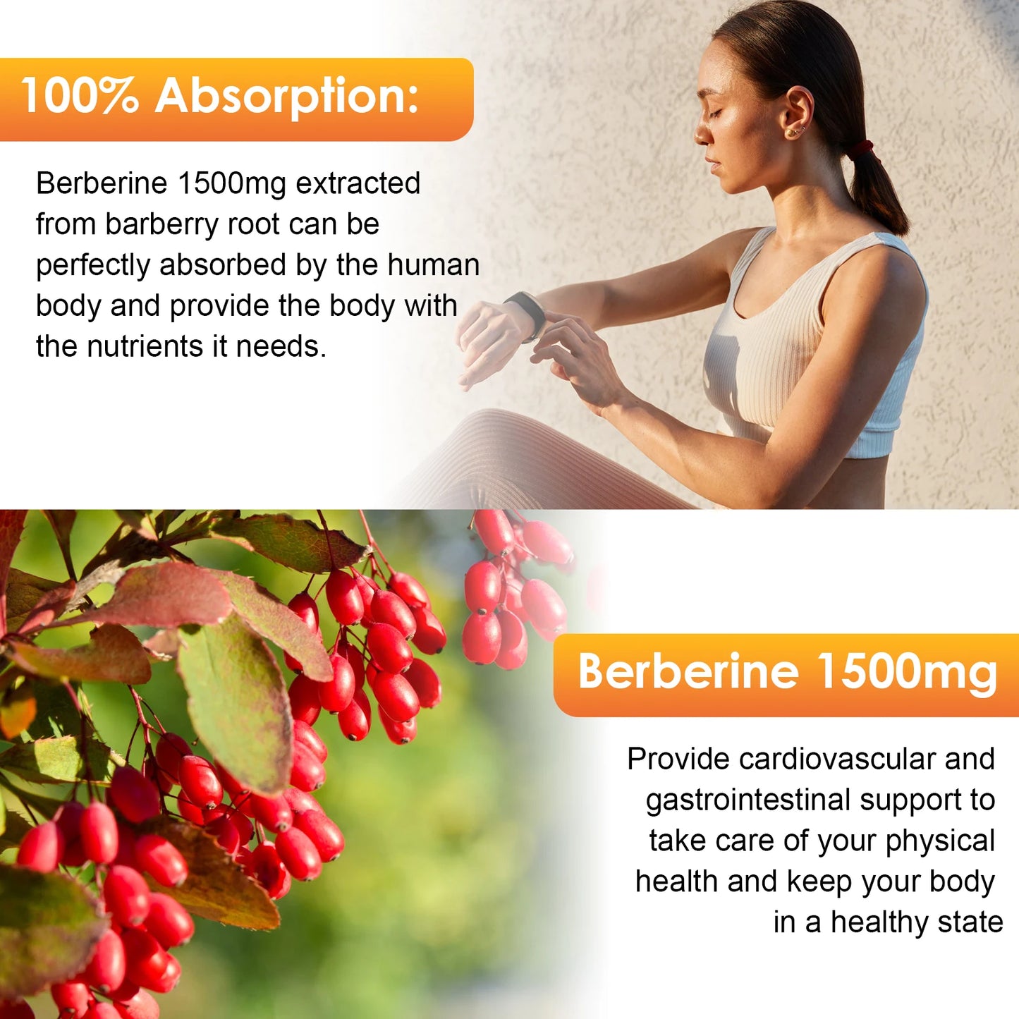 Berberine HCL Supplement Liquid Drops with Ceylon Cinnamon, Bitter Melon for Immune System & Digestive System Support Gut Health